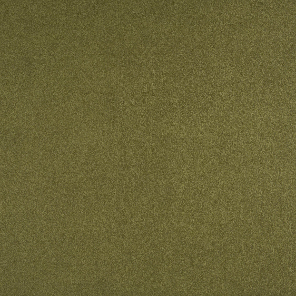 Maxwell ICON #741 SPRING Fabric