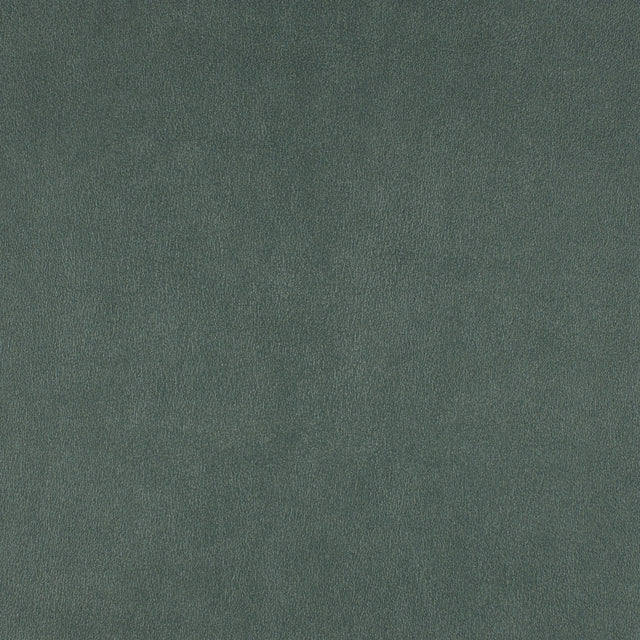 Maxwell ICON #748 SHORELINE Fabric