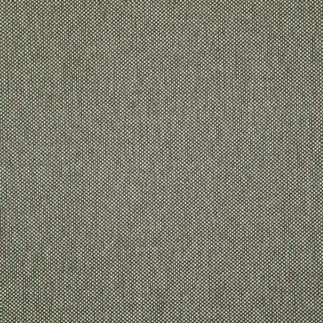 Maxwell LIGHT YEAR #213 GRIFFIN Upholstery Fabric