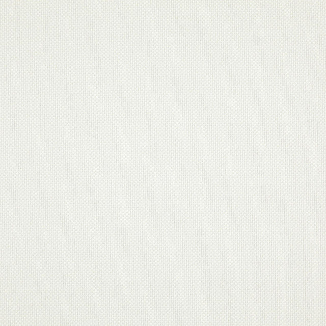 Maxwell LIGHT YEAR #216 SWAN Upholstery Fabric