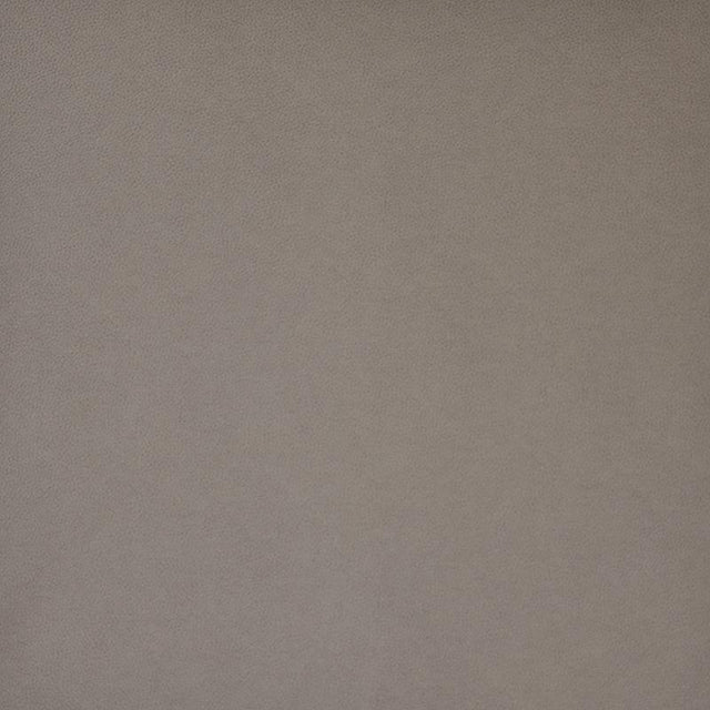 Maxwell PONY EXPRESS #012 QUARRY Fabric