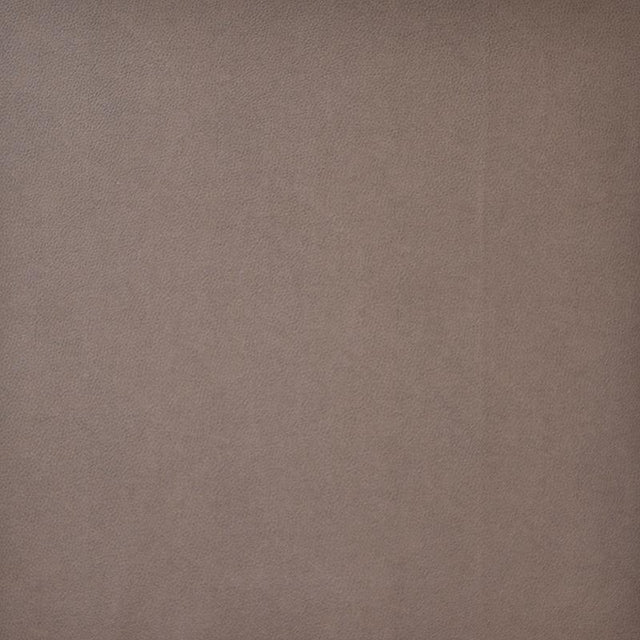 Maxwell PONY EXPRESS #2005 EARTH Fabric