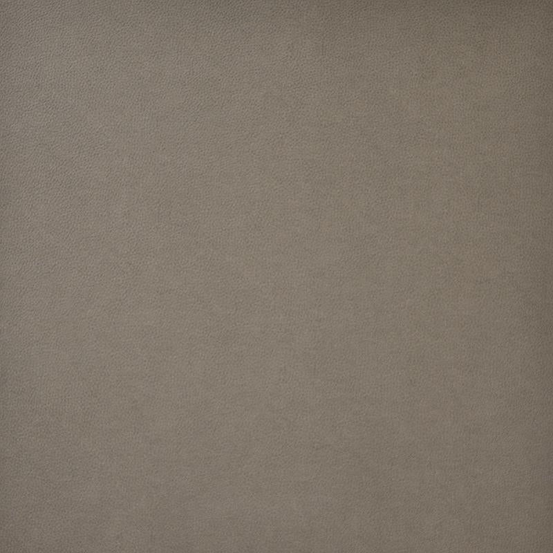 Maxwell PONY EXPRESS #4016 TIMBER Fabric