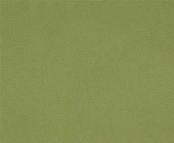 Maxwell PERSUASION #011 CITRONELLA Fabric