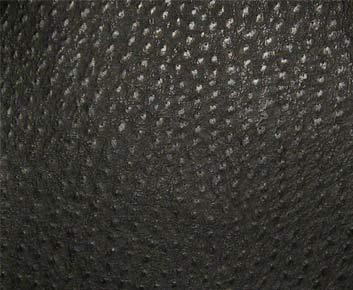 Maxwell PHOENIX(CONTRACT VINYL) #003 CAVIAR Fabric