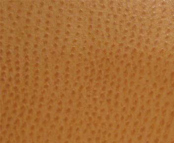 Maxwell PHOENIX(CONTRACT VINYL) #005 CHUTNEY Fabric