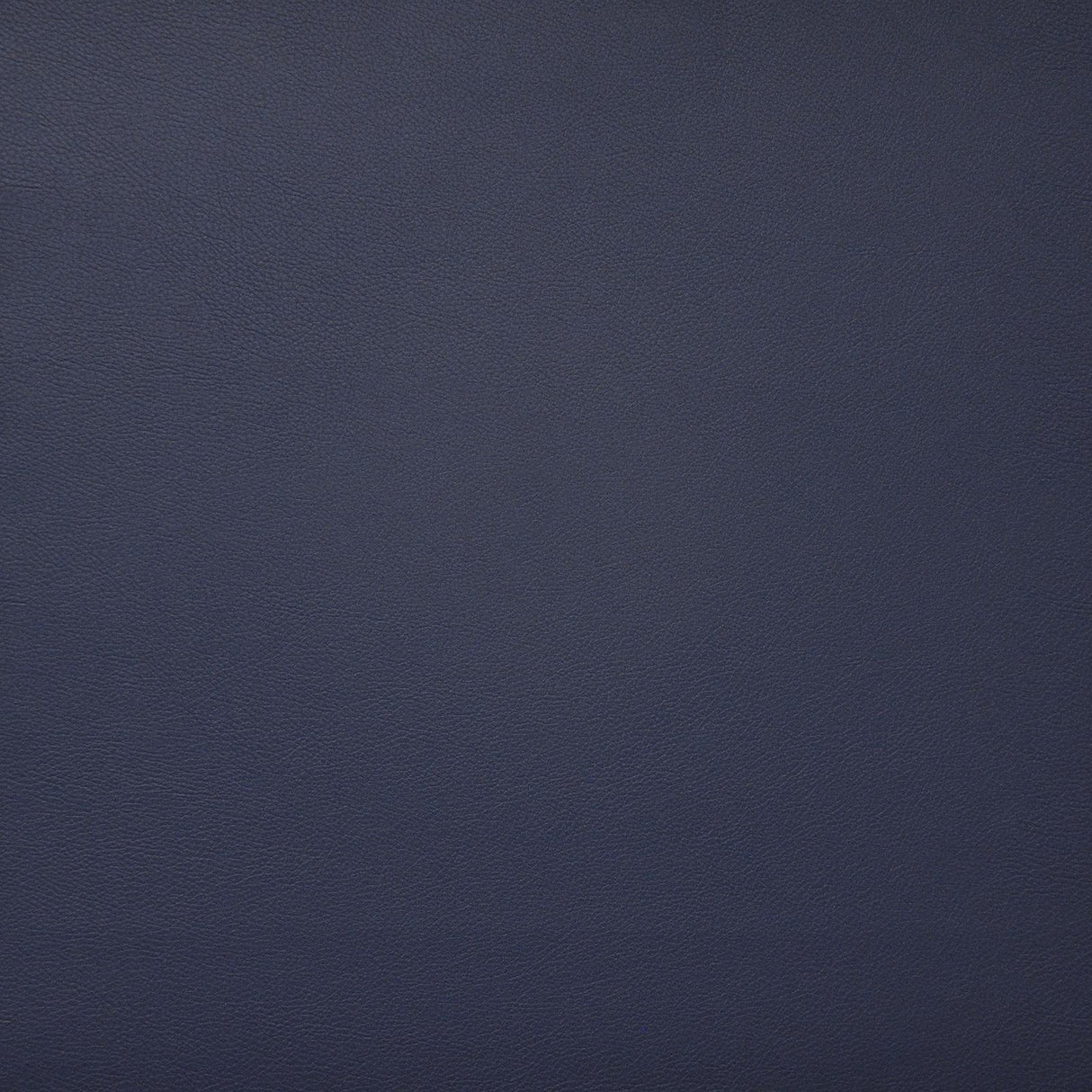 Maxwell PINTO #715 PACIFIC Fabric