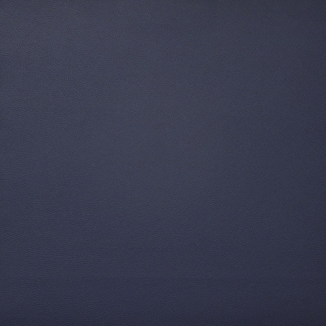 Maxwell PINTO #715 PACIFIC Fabric