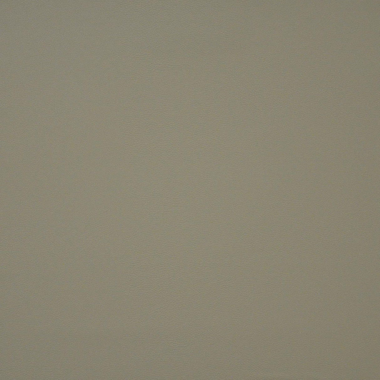 Maxwell PINTO #733 BONE Fabric