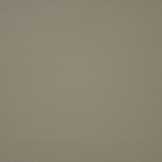 Maxwell PINTO #733 BONE Fabric