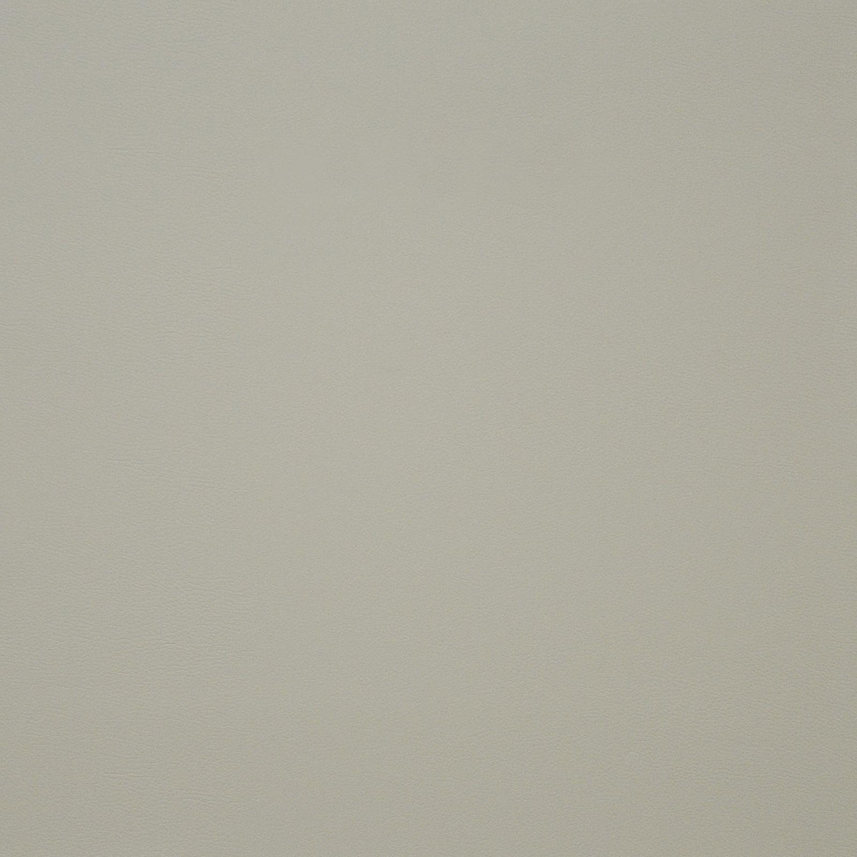 Maxwell PINTO #736 IVORY Fabric