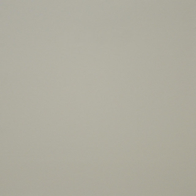 Maxwell PINTO #736 IVORY Fabric