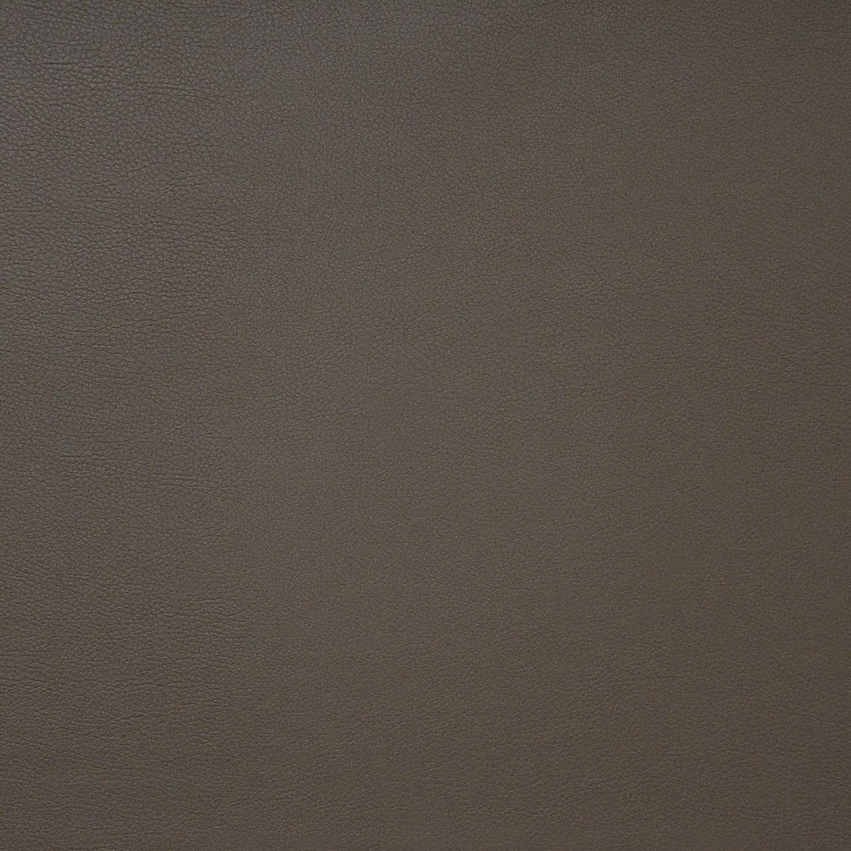 Maxwell PINTO #741 COFFEE Fabric