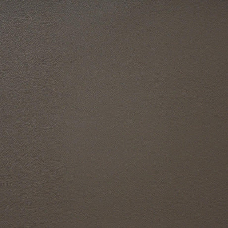 Maxwell PINTO #741 COFFEE Fabric