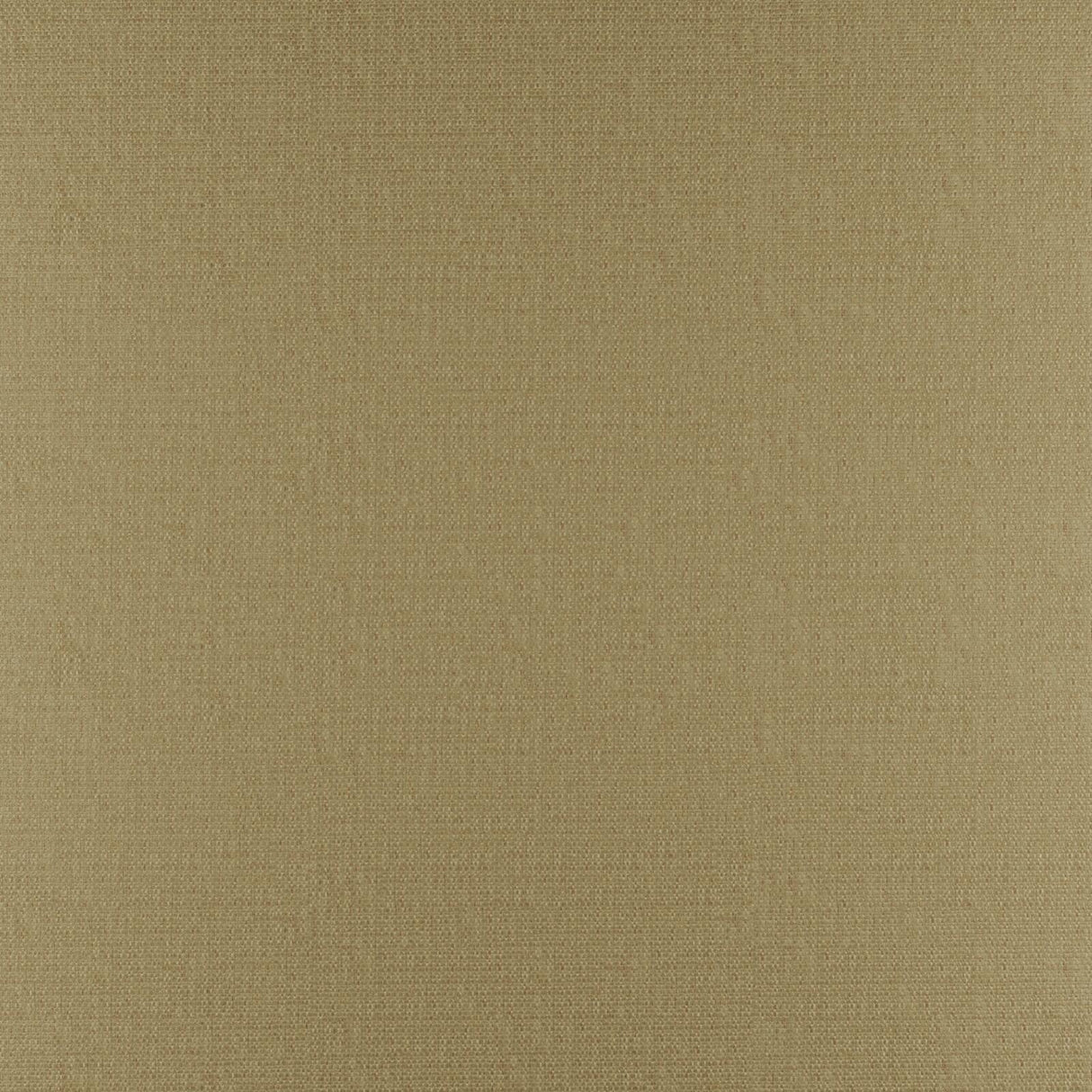 Maxwell PHOBOS #315 CANE Upholstery Fabric