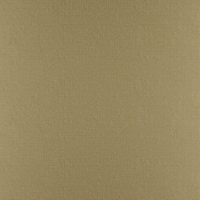 Maxwell PHOBOS #315 CANE Upholstery Fabric