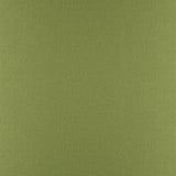 Maxwell PHOBOS #317 PALM Upholstery Fabric