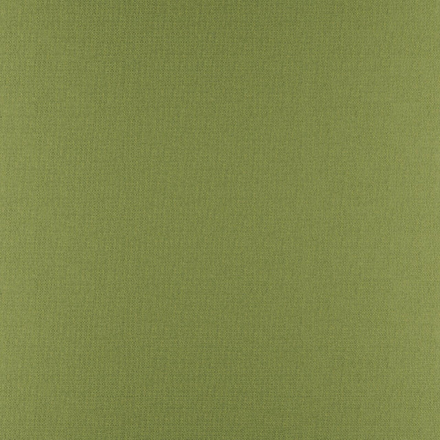 Maxwell PHOBOS #317 PALM Upholstery Fabric