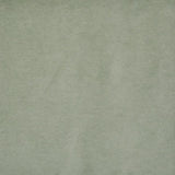 Maxwell SNUG #405 LICHEN Fabric