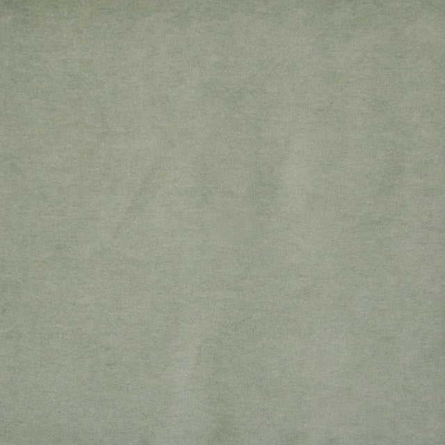 Maxwell SNUG #405 LICHEN Fabric