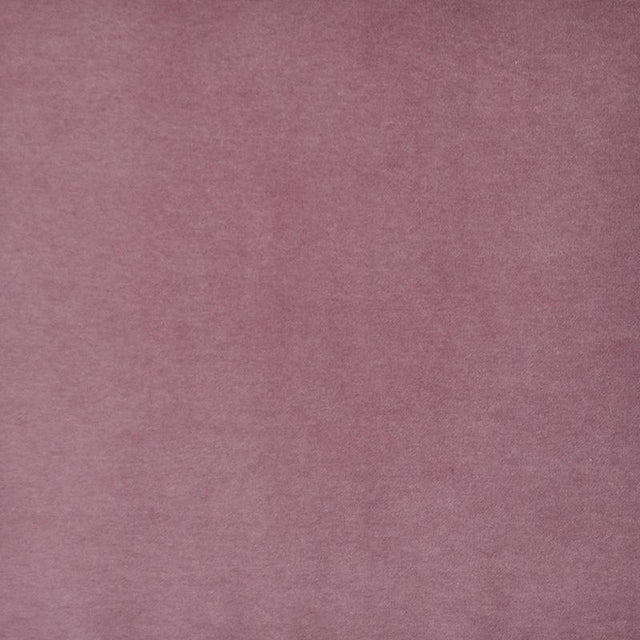 Maxwell SNUG #415 FLOWER Fabric