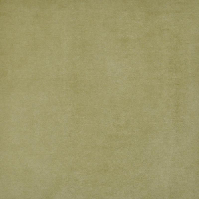 Maxwell SNUG #421 OLIVE Fabric