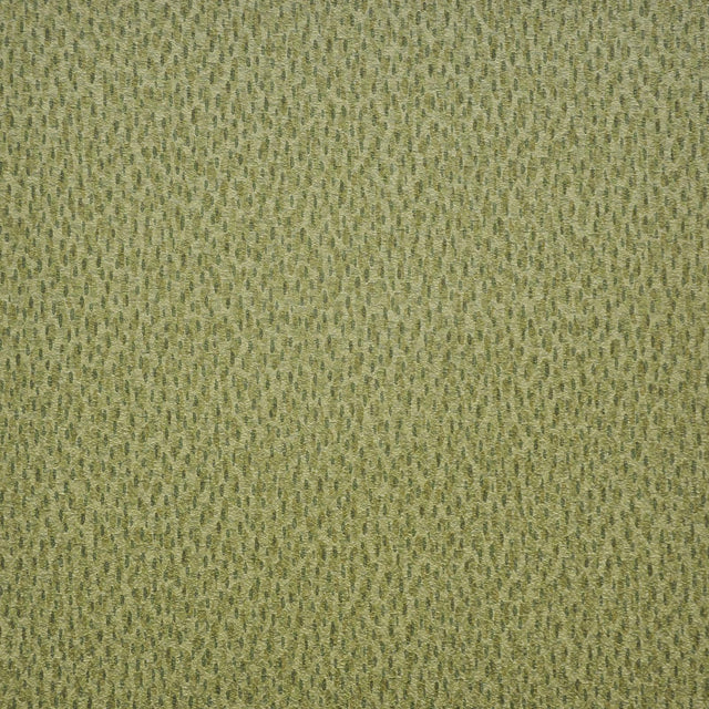 Maxwell SPOTLIGHT #212 GRASSLANDS Fabric