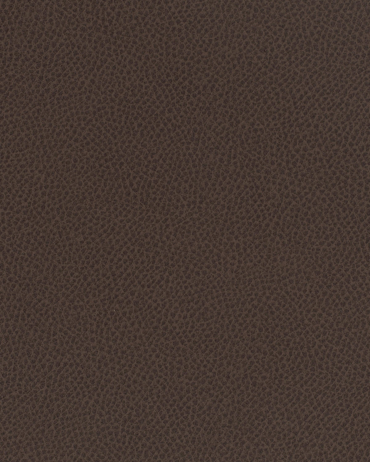 Maxwell SCENE #720 TEA Fabric