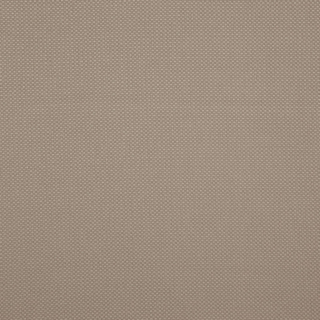 Maxwell TESSERACT #02 FUNGHI Drapery Fabric