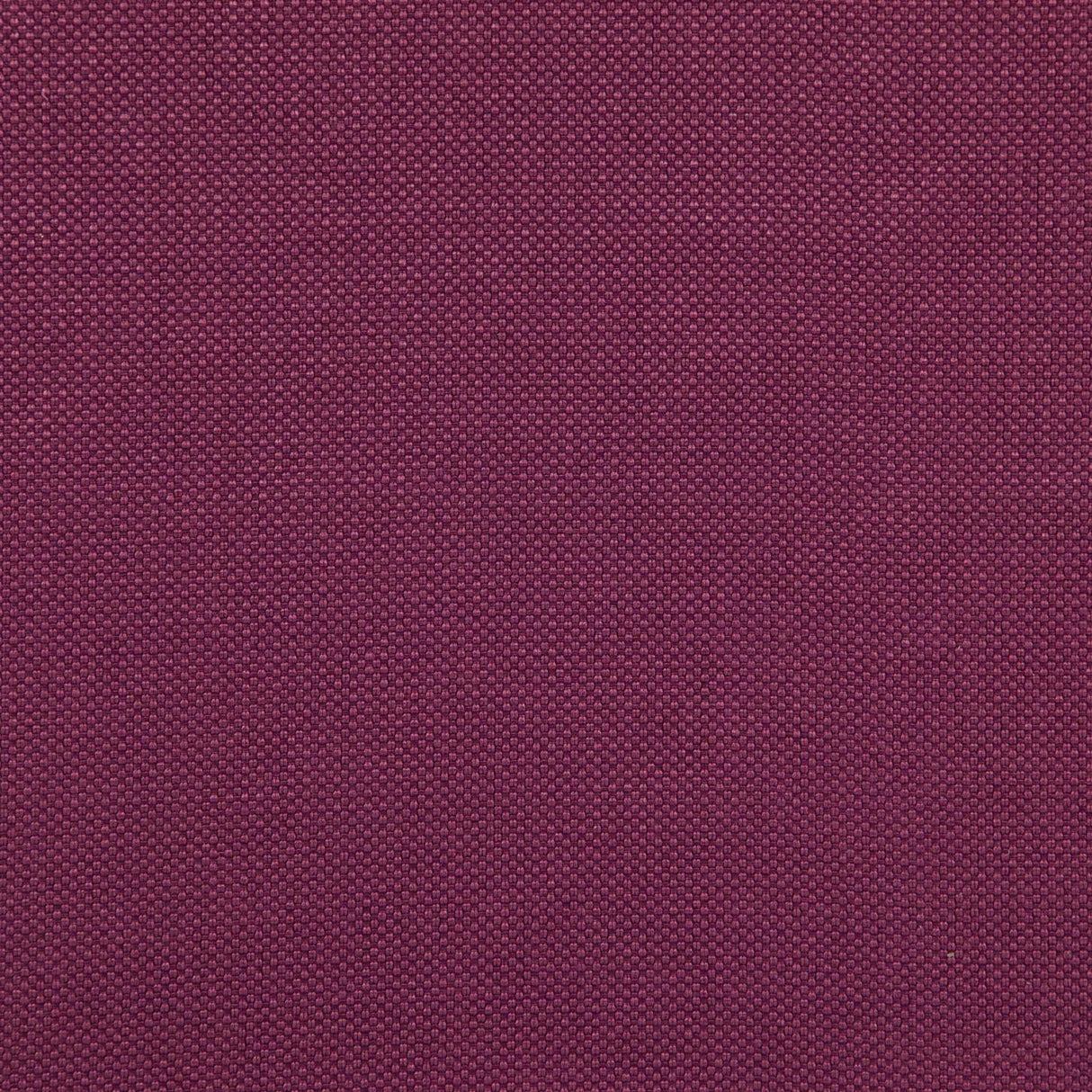 Maxwell TESSERACT #36 PEONY Drapery Fabric