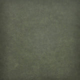 Maxwell TARO #201 EVERGREEN Fabric