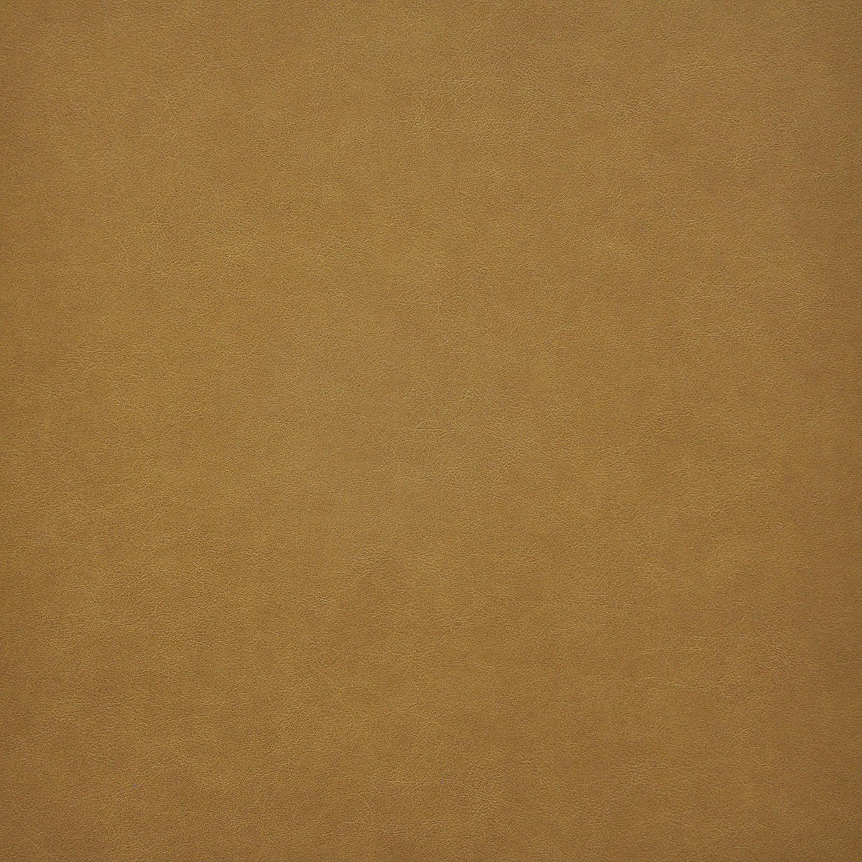 Maxwell TARO #203 HAY Fabric
