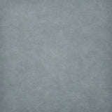 Maxwell TARO #211 SEA BISCUIT Fabric