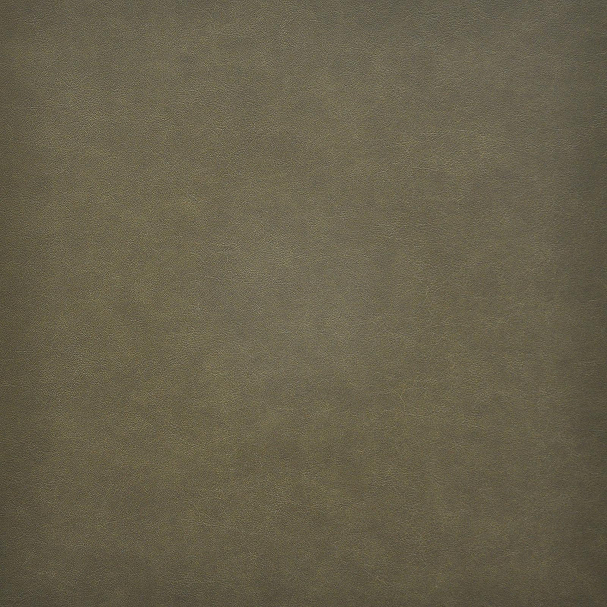 Maxwell TARO #215 THYME Fabric