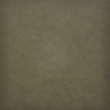 Maxwell TARO #215 THYME Fabric