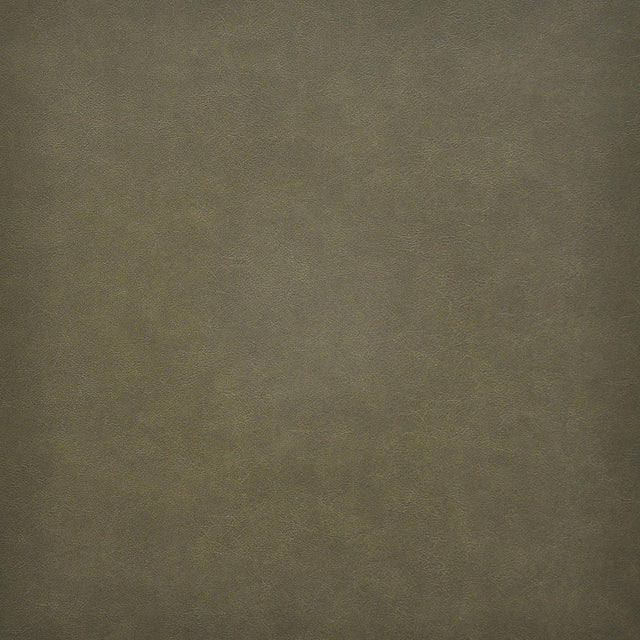 Maxwell TARO #215 THYME Fabric