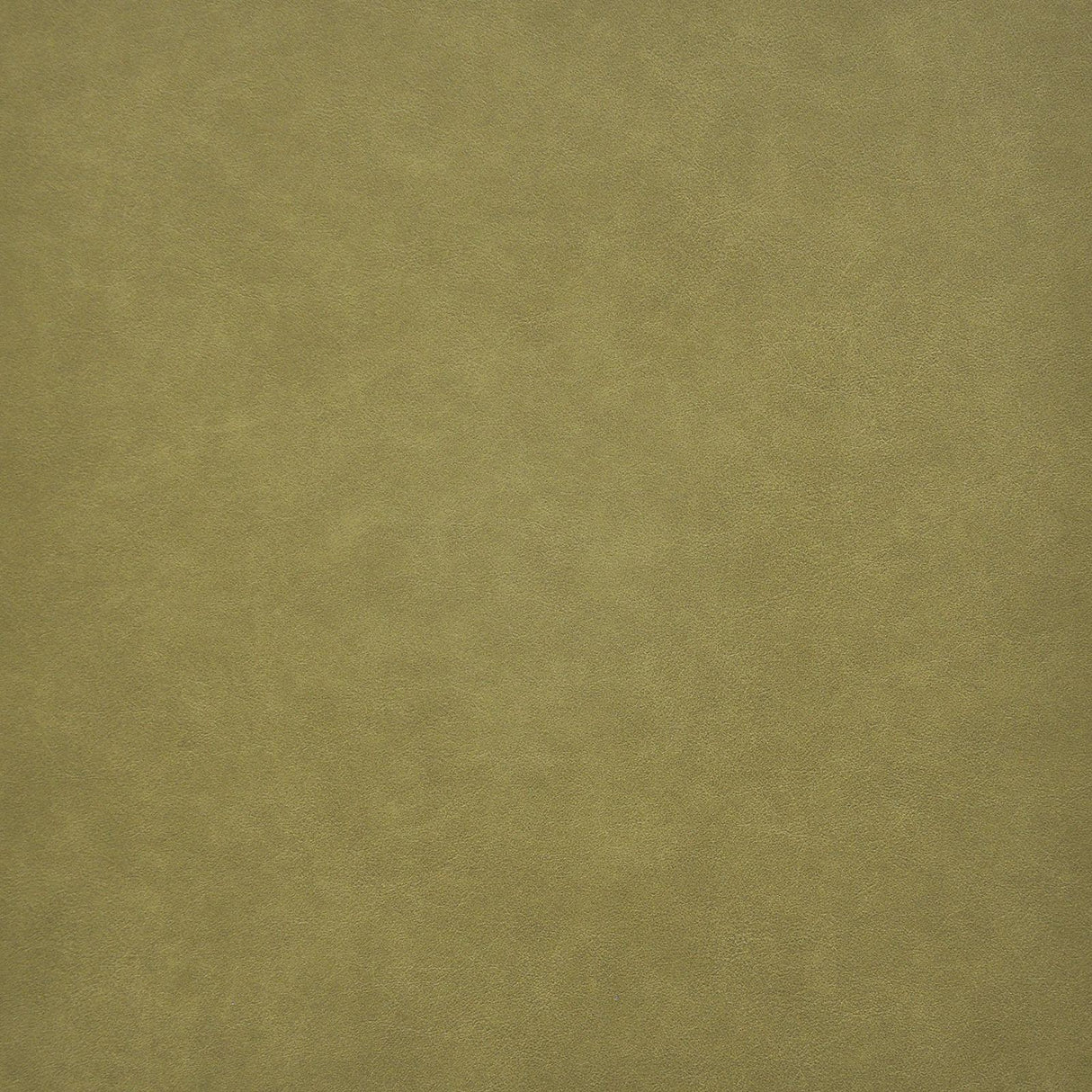 Maxwell TARO #216 SPROUT Fabric