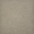 Maxwell TARO #218 TRAIL Fabric