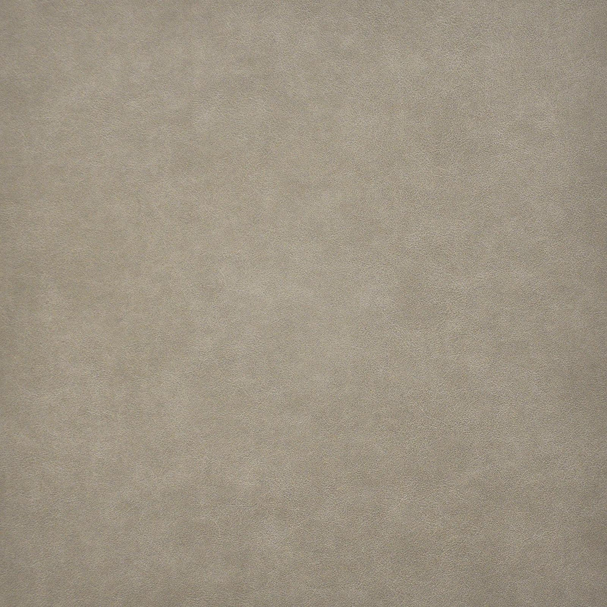 Maxwell TARO #218 TRAIL Fabric