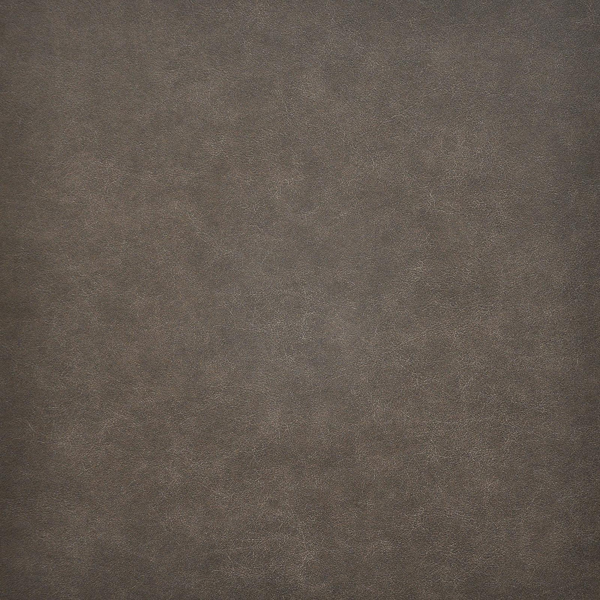 Maxwell TARO #219 SHETLAND Fabric