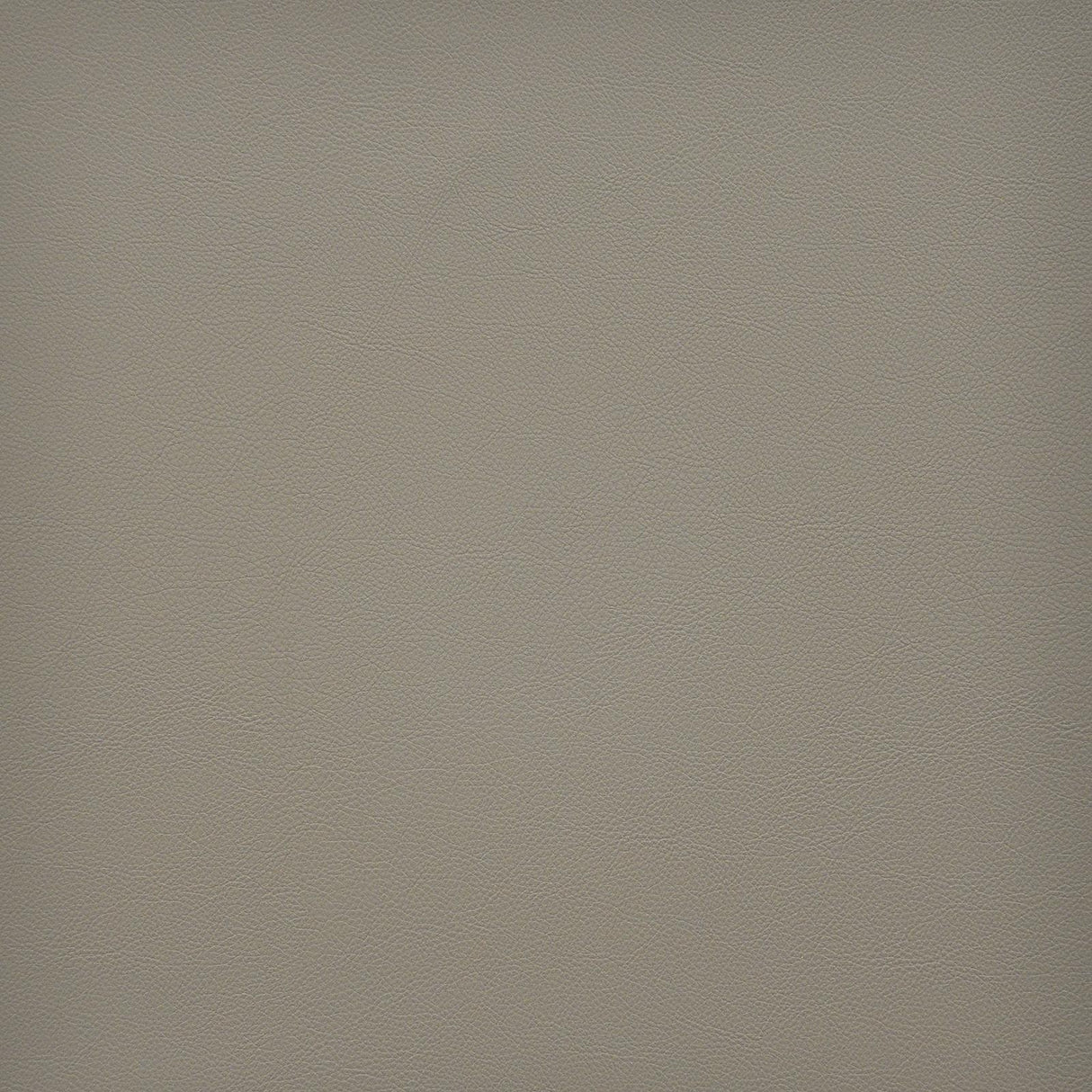 Maxwell VESPER #240 PAPYRUS Fabric