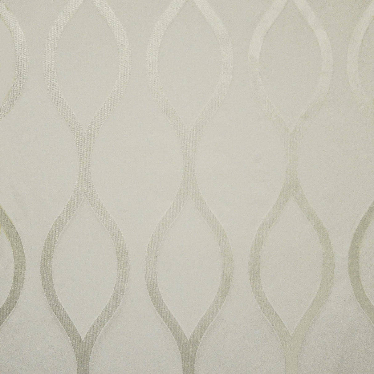 Maxwell KENNEDY #601 STAR Fabric