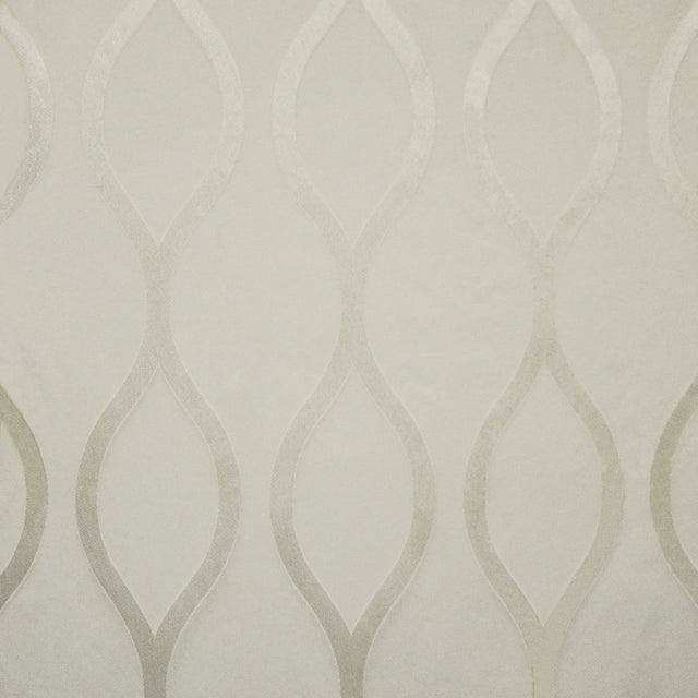 Maxwell KENNEDY #601 STAR Fabric