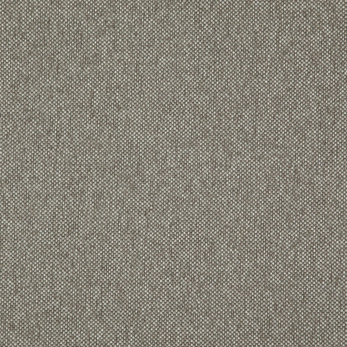 Maxwell LIGHT YEAR #207 PINECONE Upholstery Fabric