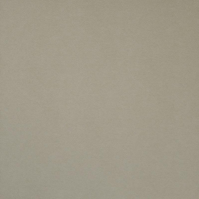 Maxwell PONY EXPRESS #011 PARCHMENT Fabric