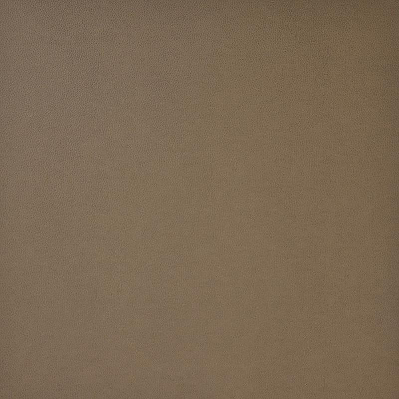 Maxwell PONY EXPRESS #013 RAM Fabric