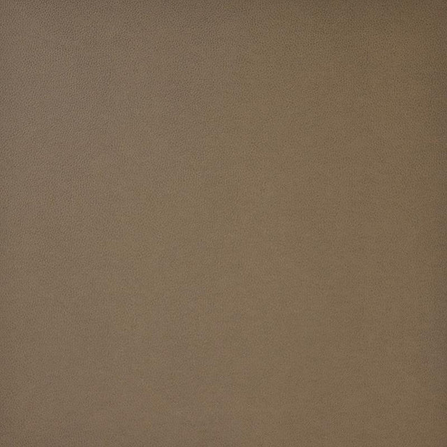 Maxwell PONY EXPRESS #013 RAM Fabric