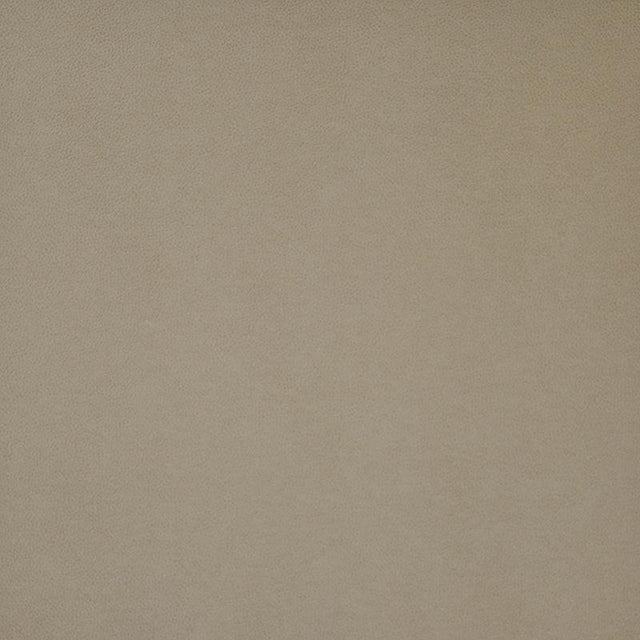 Maxwell PONY EXPRESS #1014 RYE Fabric