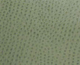 Maxwell PHOENIX(CONTRACT VINYL) #006 DRIZZLE Fabric