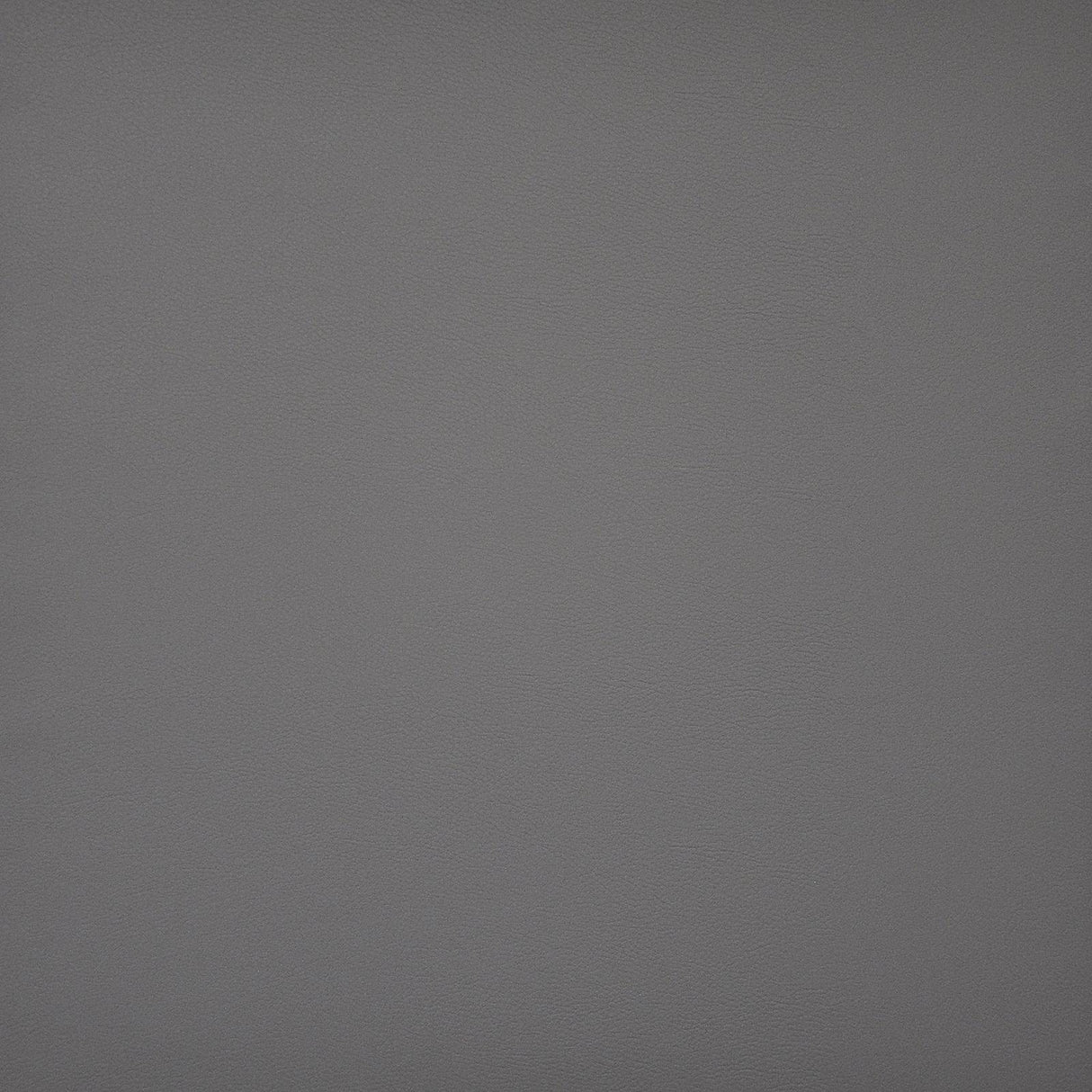 Maxwell PINTO #706 FLINTSTONE Fabric